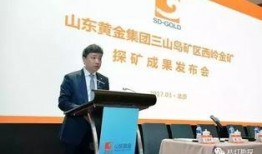 矿业董事勘探员爆料视频,揭秘矿业内幕